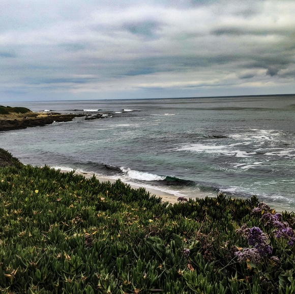 Meet the Posher - Picture 7 of 8